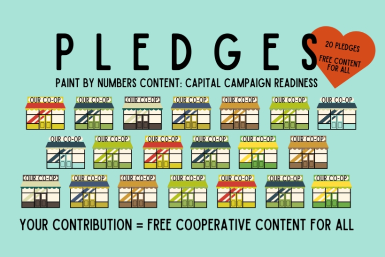 ICDC Fund Paint-By-Numbers Content: Capital Campaign Readiness